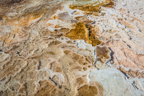 Yellowstone National Park, Wyoming, USA - seen by streb