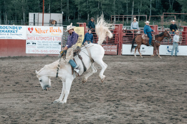 West Yellowstone Rodeo, Montana, USA - seen by streb
