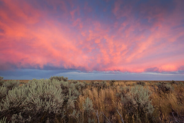 Idaho, USA - seen by streb