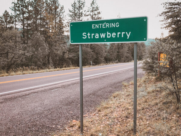 Strawberry, USA - seen by streb