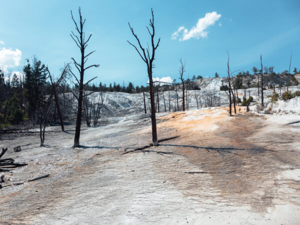 Yellowstone National Park, Wyoming, USA - seen by streb