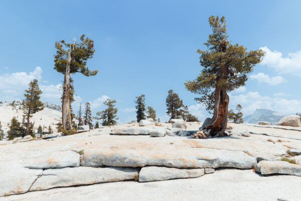 Yosemite National Park, California, USA - seen by streb