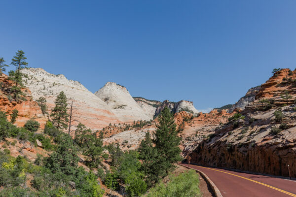 Zion National Park, Utah, USA - seen by streb