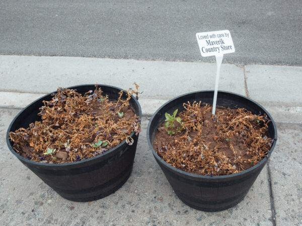 Afton, Wyoming, USA - seen by streb