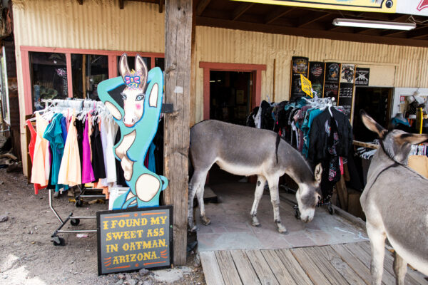 Oatman, Arizona, USA - seen by streb