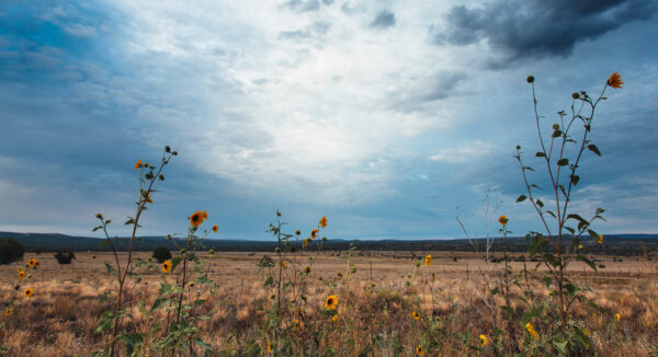 Williams, Arizona, USA - seen by streb